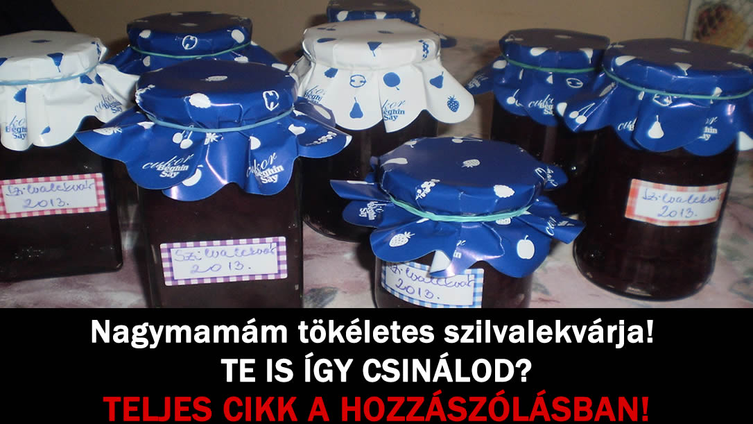 Nagymamám tökéletes szilvalekvárja! TE IS ÍGY CSINÁLOD?