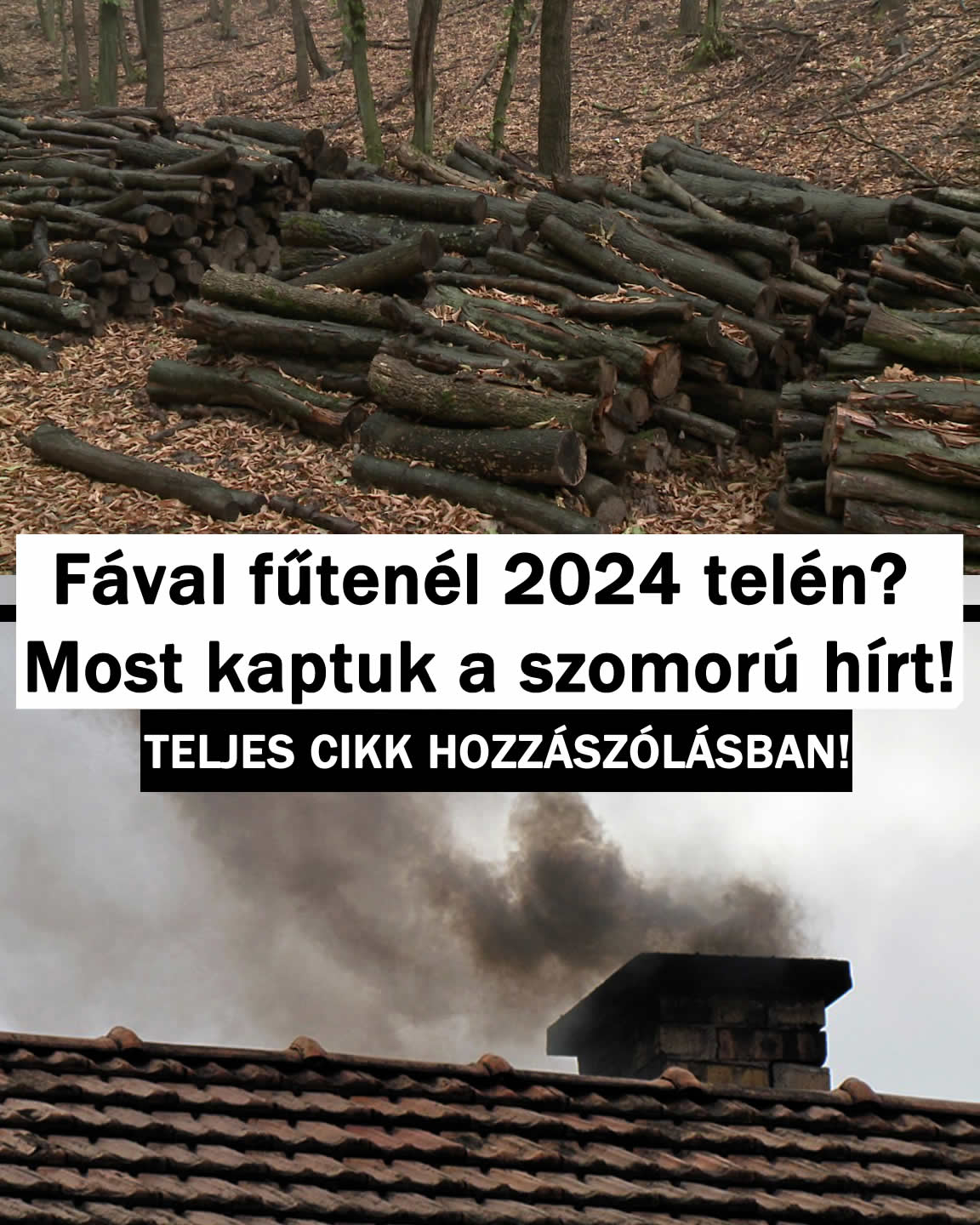 Fával fűtenél 2024 telén? Most kaptuk a szomorú hírt!