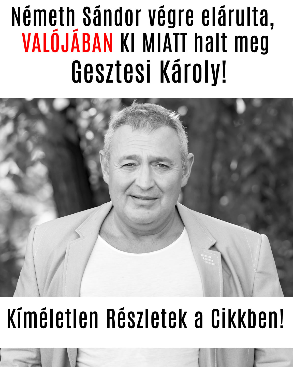 Németh Sándor végre elárulta, VALÓJÁBAN KI MIATT halt meg Gesztesi Károly!