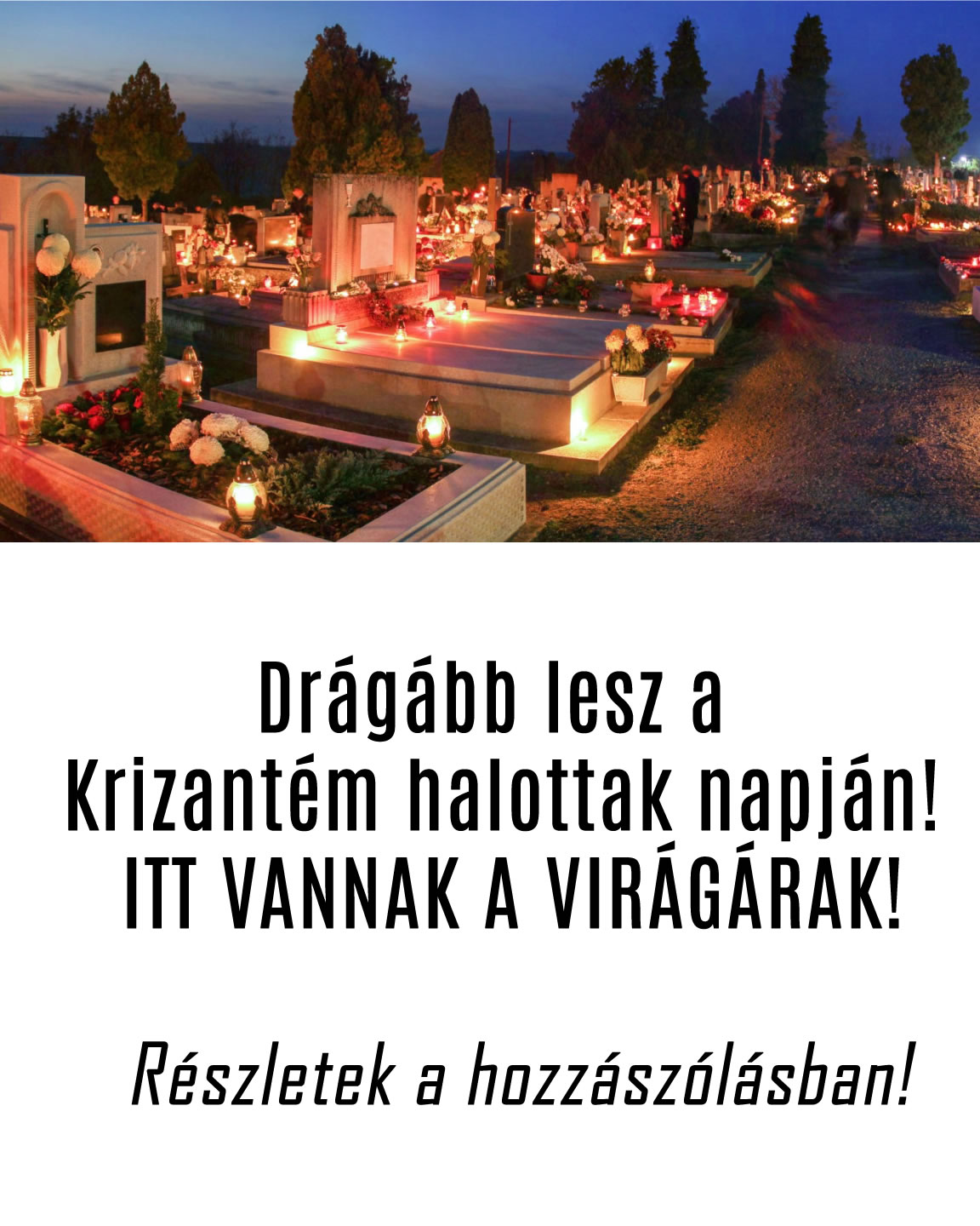 Drágább lesz a Krizantém halottak napján! ITT VANNAK A VIRÁGÁRAK!