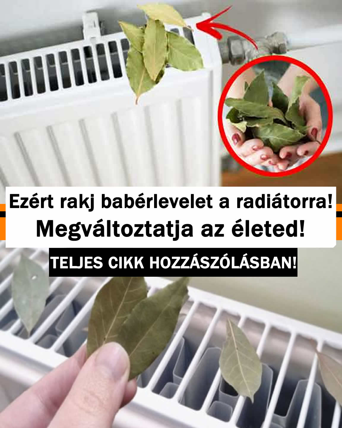 Ezért rakj babérlevelet a radiátorra! Megváltoztatja az életed!